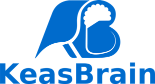 Top app development company | KeasBrain Technologies